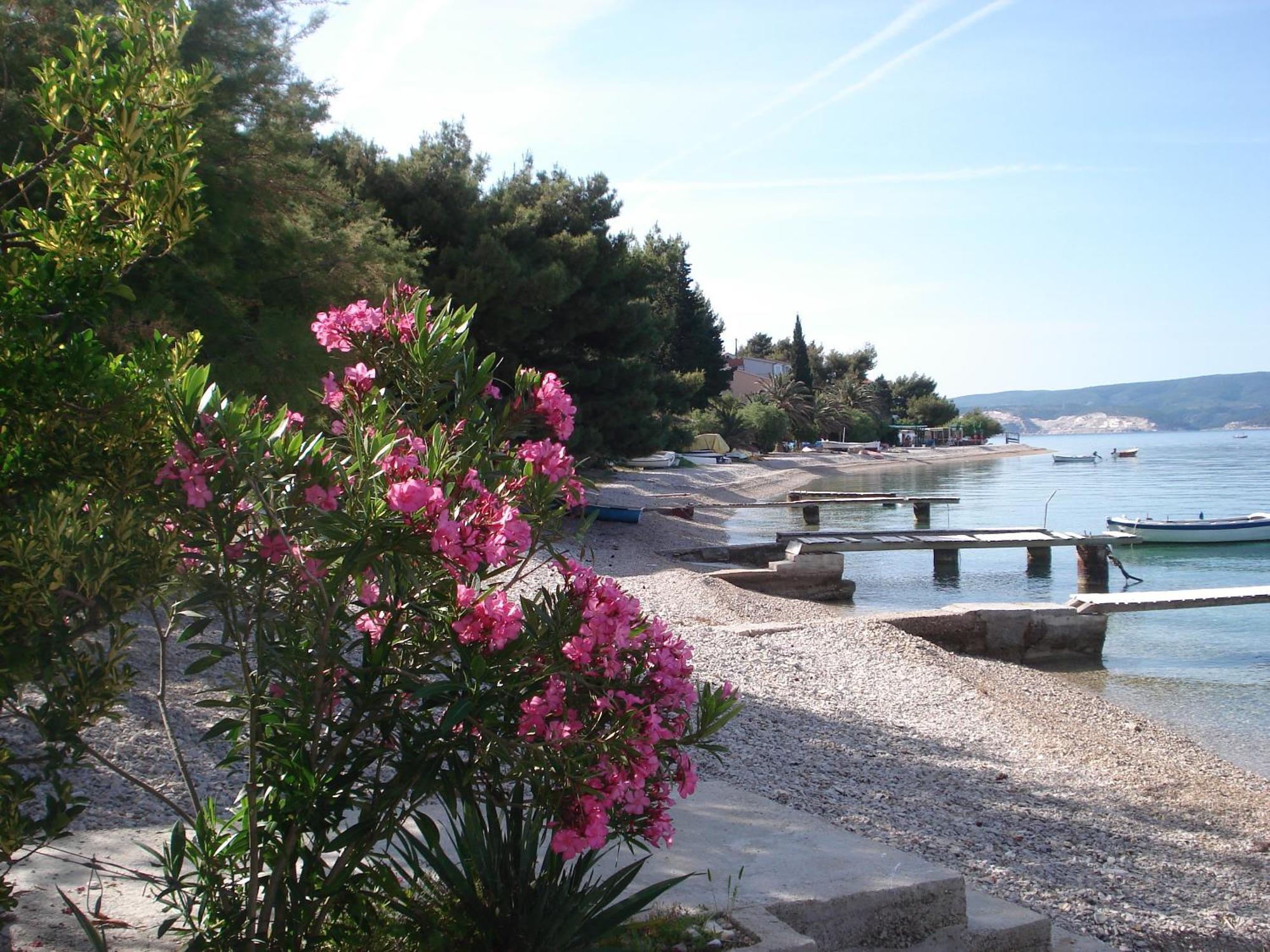 Apartments Smiljana Omiš Zewnętrze zdjęcie