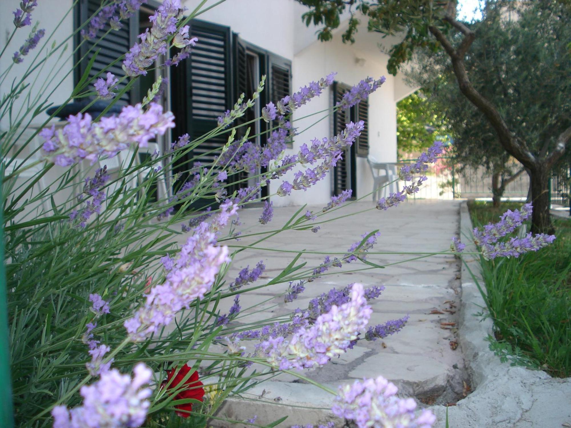 Apartments Smiljana Omiš Zewnętrze zdjęcie